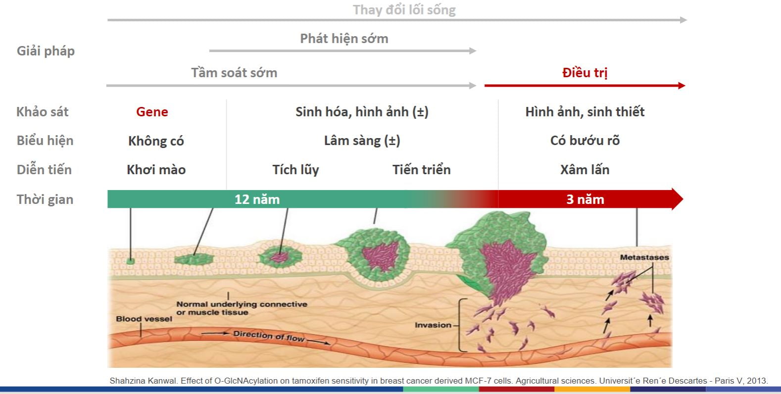 Tầm soát ung thư sớm là lợi thế lớn để điều trị thành công 7