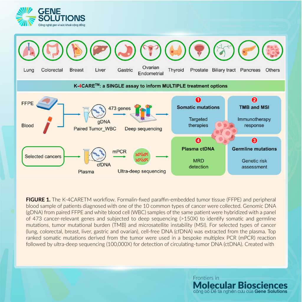 Tạp chí Frontiers in Molecular Biosciences công bố đề tài nghiên cứu về K-4CARE của Gene Solutions 1