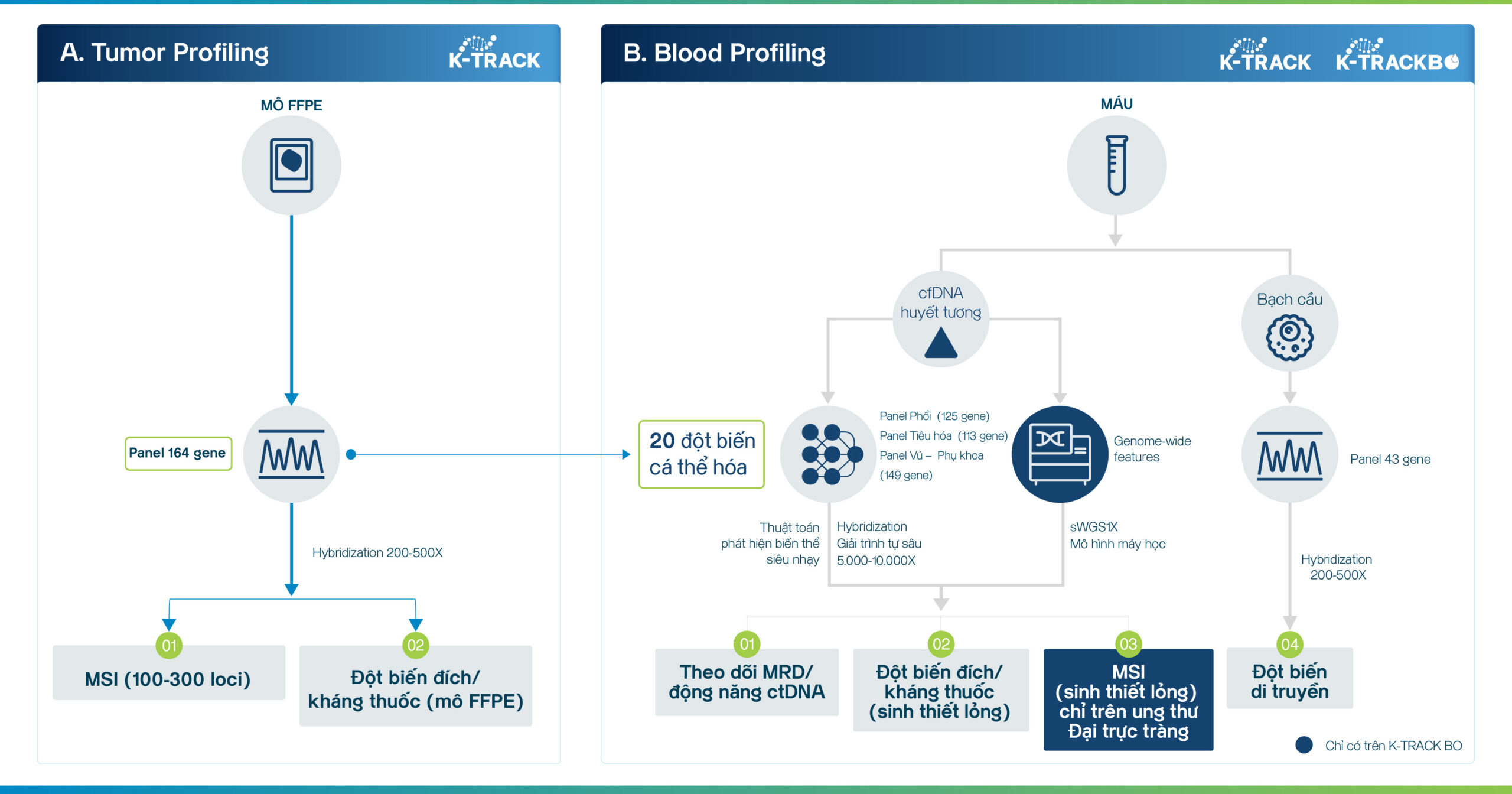 Khảo sát tồn dư tối thiểu của khối u trong điều trị và theo dõi ung thư - K-Track 16