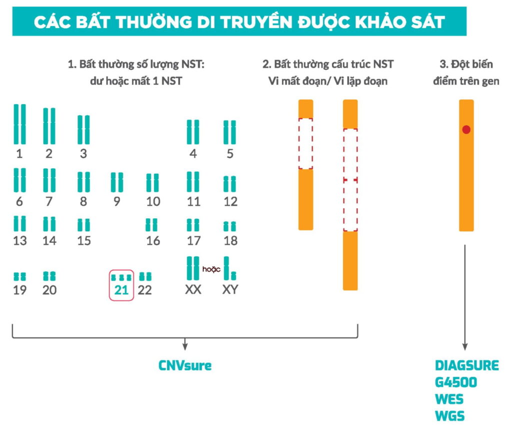 Chẩn đoán bệnh di truyền 7