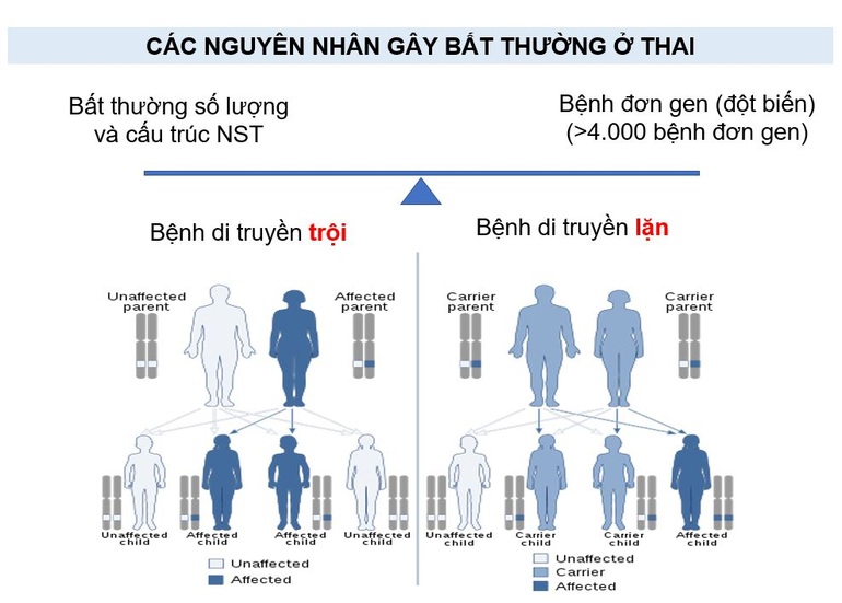 Sắp có giải pháp giúp xóa vùng tối về bất thường di truyền - 1