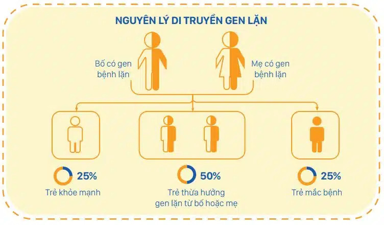 Gen lặn là gì? Một số bệnh di truyền gen lặn nguy hiểm 3