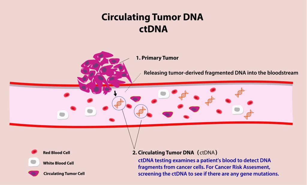 Vai trò của ctDNA trong quản lý ung thư vú 2 ctDNA-2