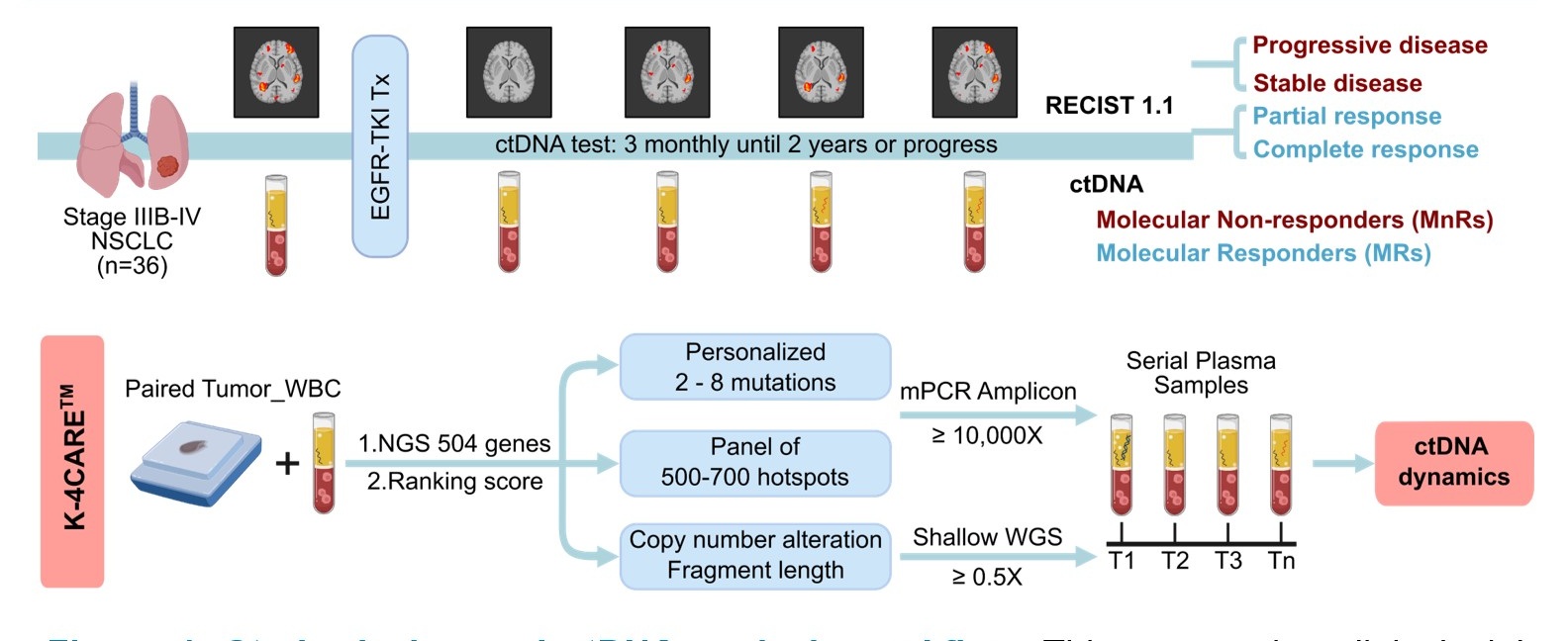 Hình ảnh trích từ báo cáo: Quy trình nghiên cứu