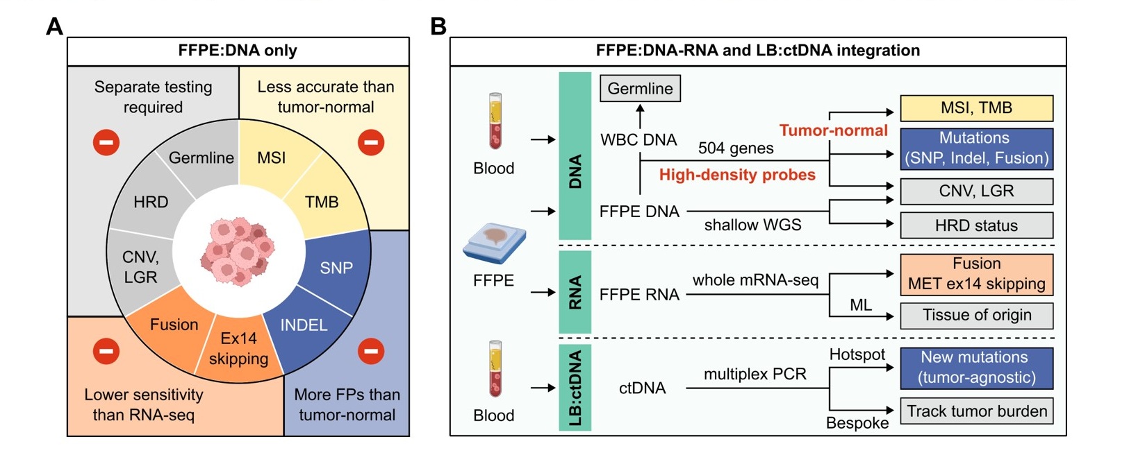 Hình ảnh trích từ báo cáo: Xét nghiệm tích hợp DNA-mRNA FFPE và LB ctDNA