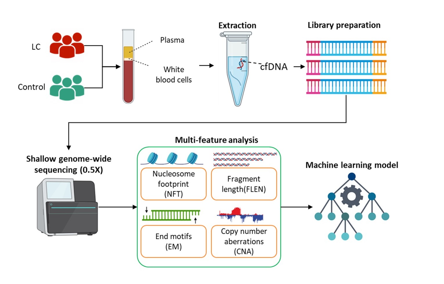 Hình ảnh trong báo cáo: Phương pháp và quy trình thực hiện