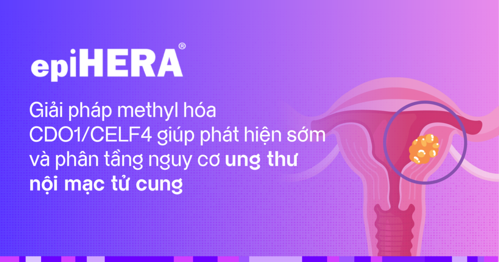 Tầm soát ung thư phụ khoa 9