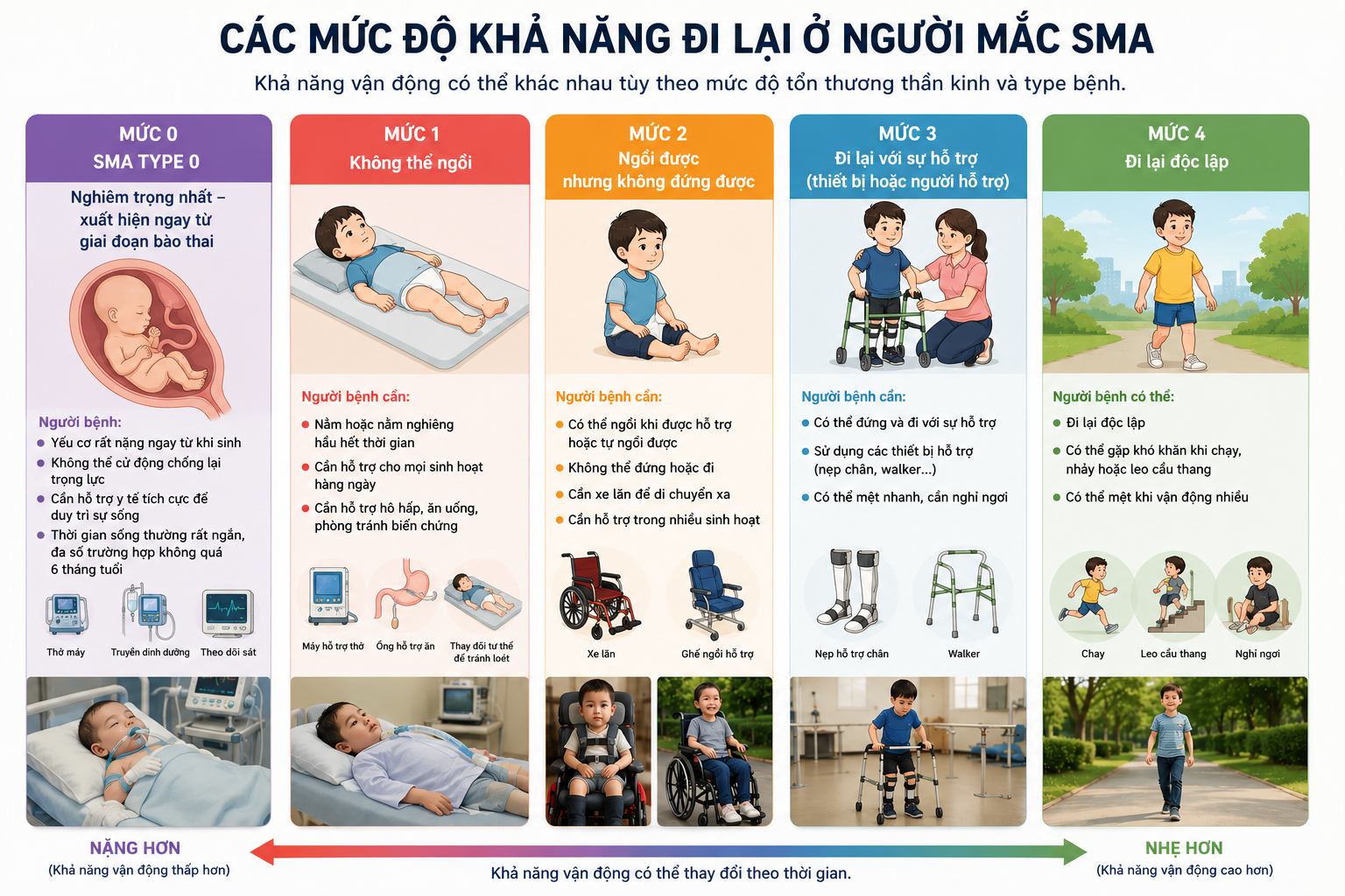 Các mức độ khả năng vận động của người mắc SMA