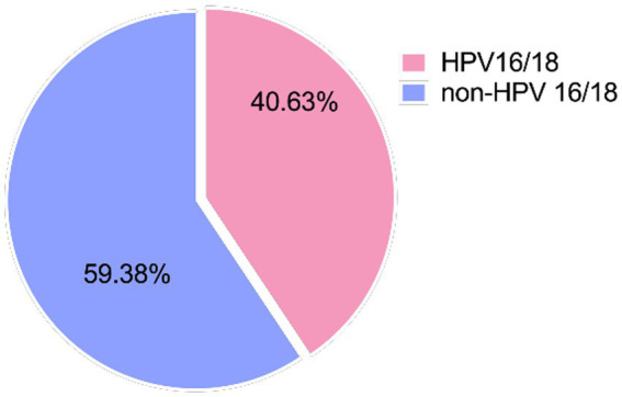 Hình ảnh tỷ lệ các ca ung thư cổ tử cung với nguyên nhân do HPV 16/18*