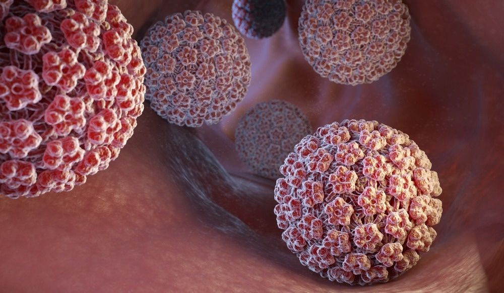 HPV là virus gây u nhú ở người