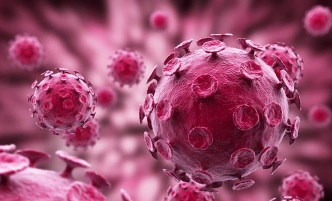 Kết quả HPV dương tính nên làm gì? Những điều cần biết