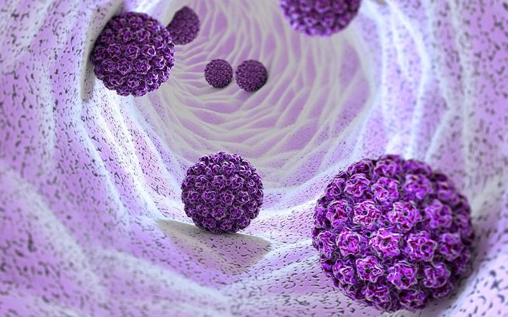 Phần lớn các trường hợp dương tính với virus HPV có thể được hệ miễn dịch đào thải sau 1-2 năm