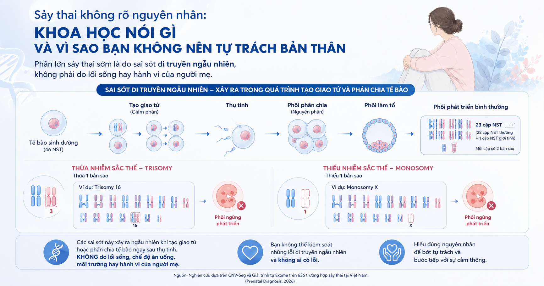Sảy thai không rõ nguyên nhân: Khoa học nói gì và vì sao bạn không nên tự trách bản thân 1 Bất thường nhiễm sắc thể gây sảy thai — minh họa lệch bội