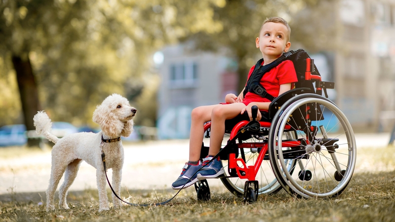 Teo cơ có nguy hiểm không? 4 Teo cơ có nguy hiểm không? 3